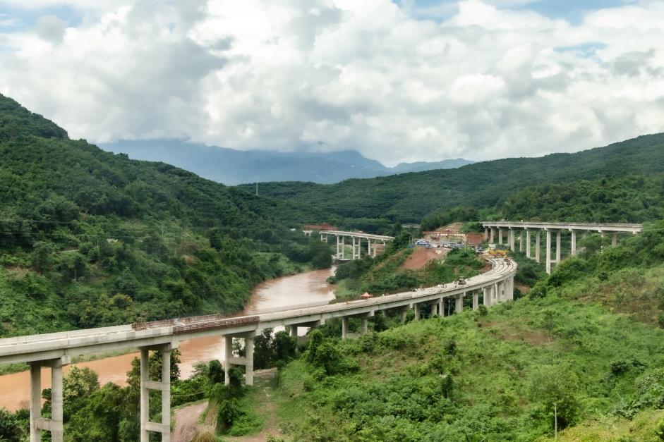 A bridge through a jungle
