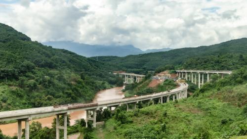 A bridge through a jungle