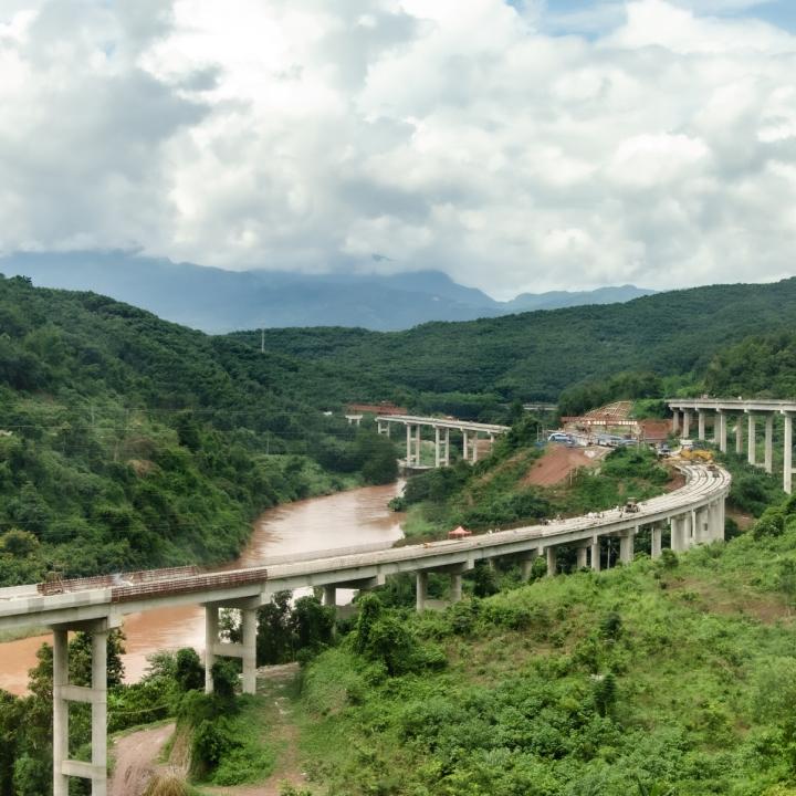 A bridge through a jungle